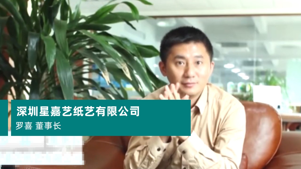 深圳星嘉艺纸艺有限公司