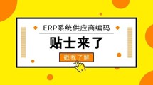 ERP系统供应商编码技巧总结
